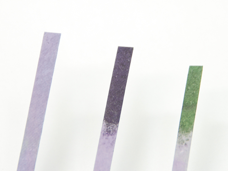 ヒロセ　ヤマトヨハイローズ